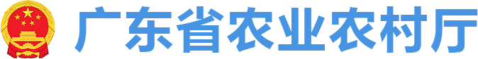 好色视频
